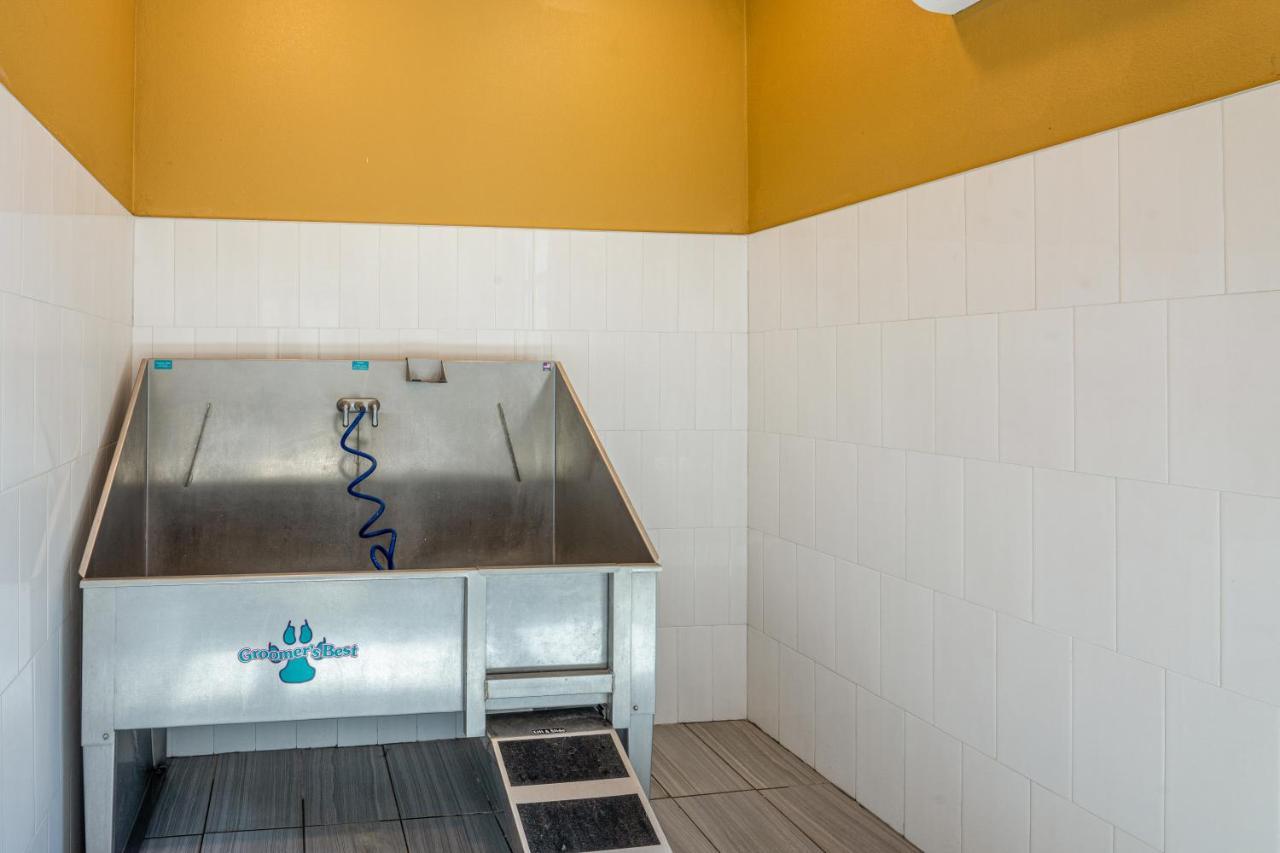 Luxe 3B/2B Getaway - Pool, Gym, Parking, Pet Wash Apartment Leander ภายนอก รูปภาพ